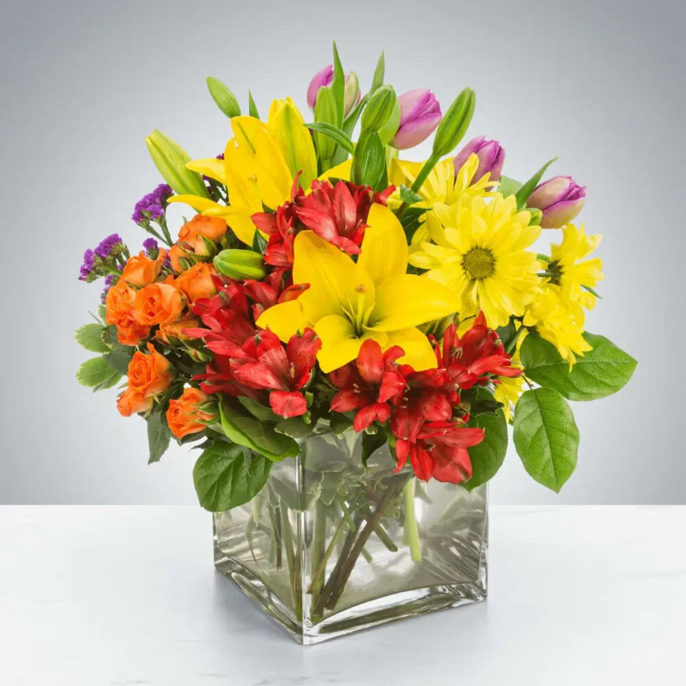 Juicy by Elite Flowers