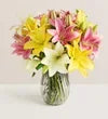 Sweet Spring Lilies for Mother’s Day