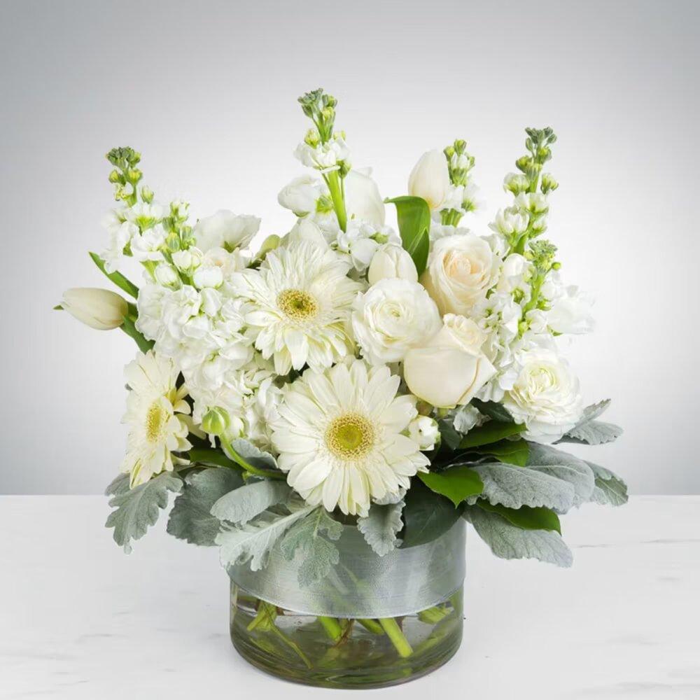 Purity by Elite Flowers