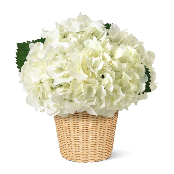 White Hydrangea in Freya Vase