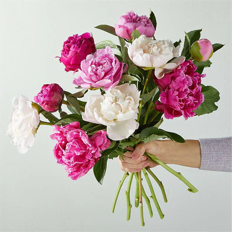 Picturesque Peony Bouquet
