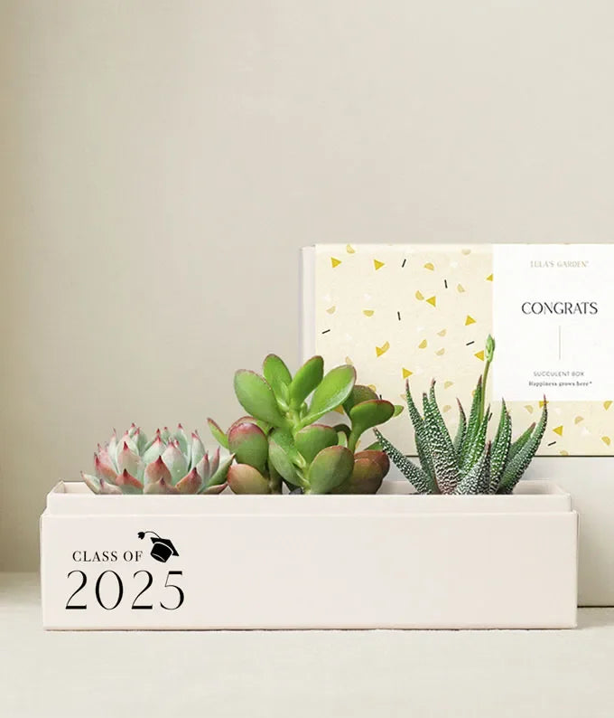 Lula's Garden  Congrats Grad! Ray Garden