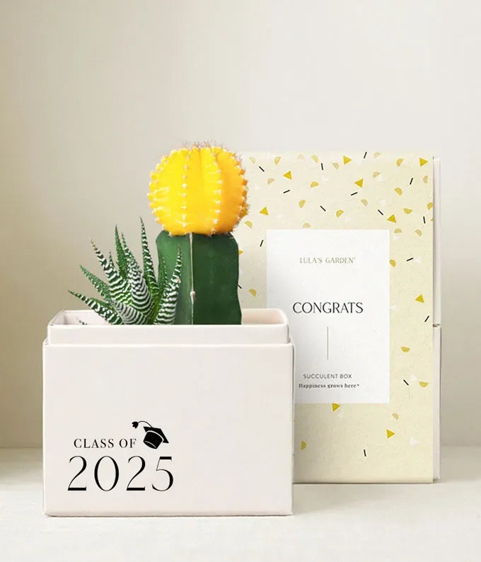 Lula's Garden  Congrats Grad! Ray Garden