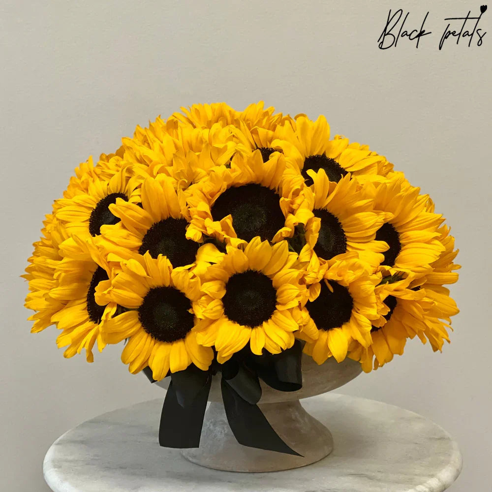 Pocketful Of Sunshine