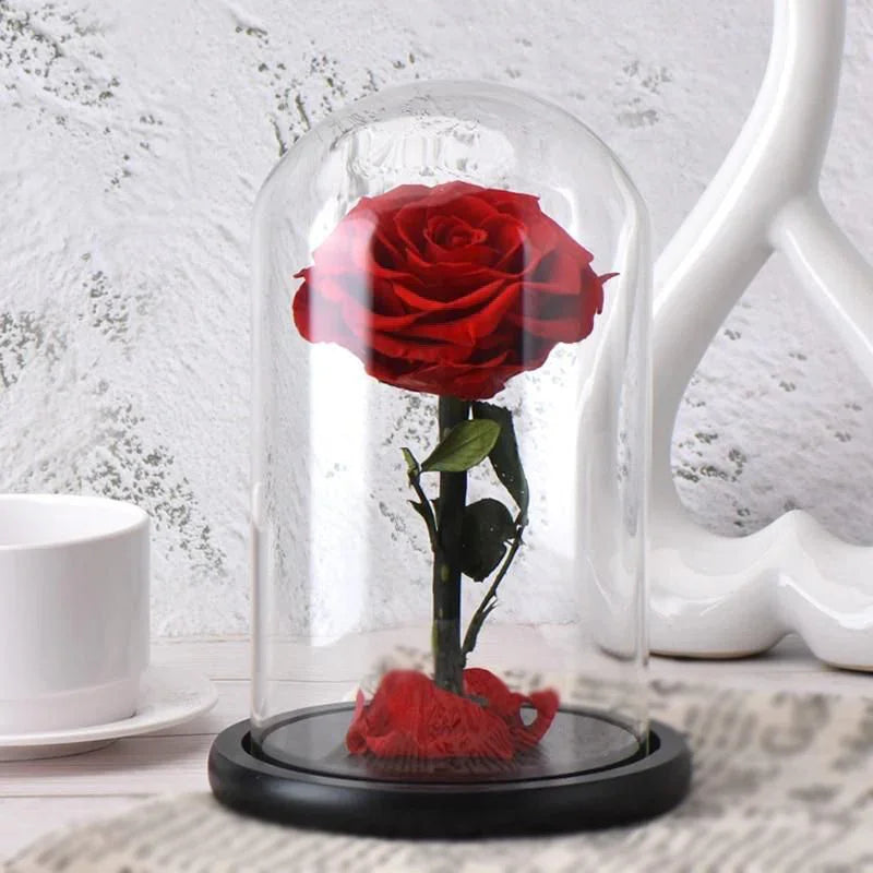 Red Preserved Rose
