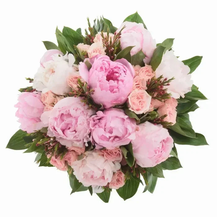 Peonies with spray roses