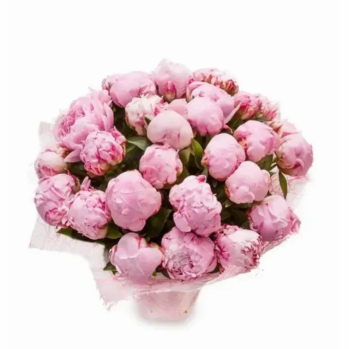 Sarah Bernard peonies